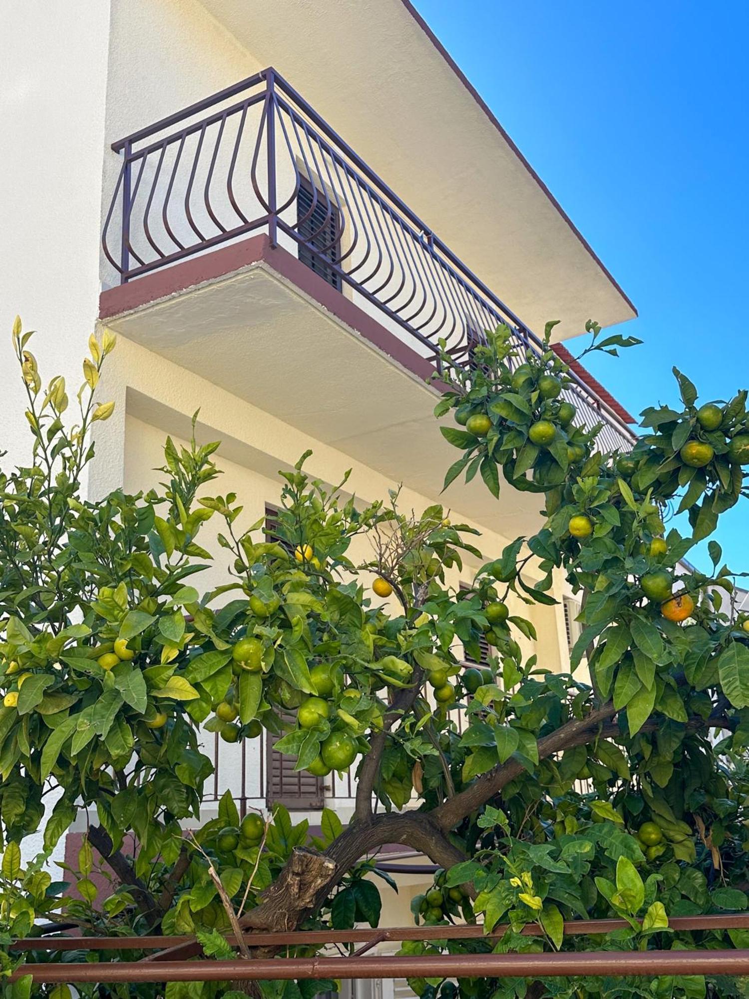 Niko Apartments Drvenik  Εξωτερικό φωτογραφία